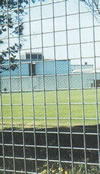 Weld Mesh Security Fencing